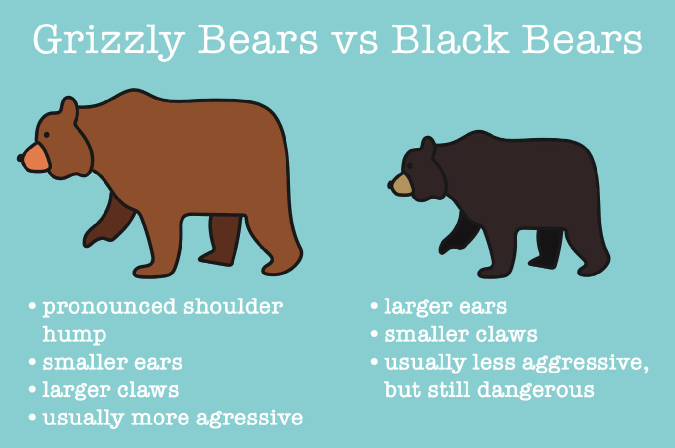 brownvblackbears